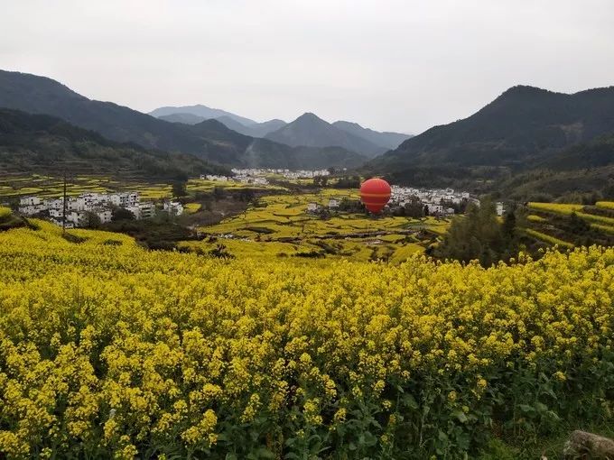 自驾游攻略：如何选择适合的汽车？_自驾游选什么车好_自驾游汽车首选